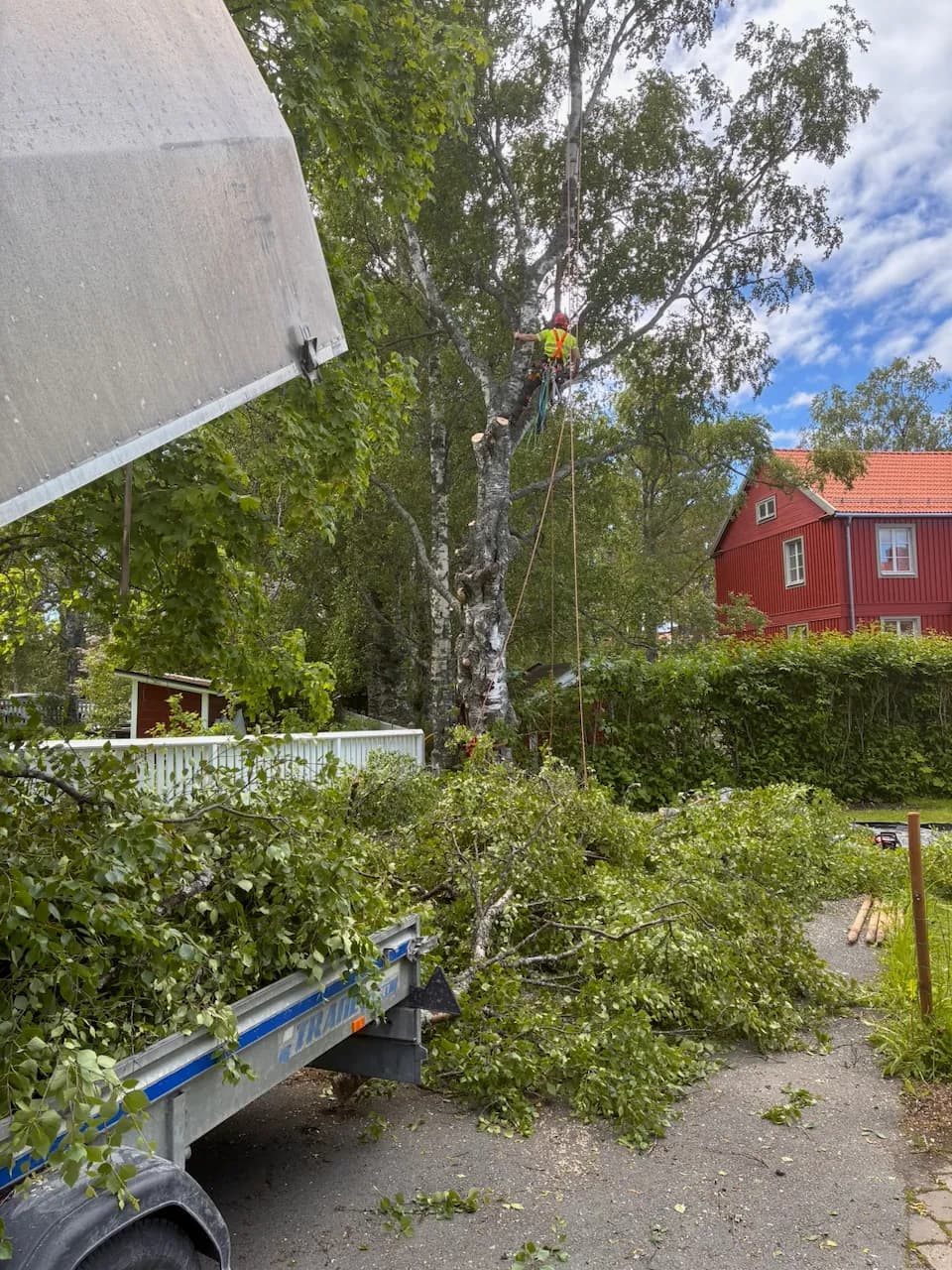 Bortforsling
